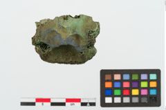 Foto von Bronzehelmknauf (NHMW-PRAE-025104)